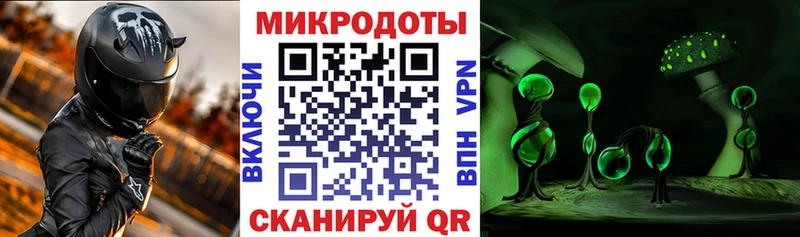 Галлюциногенные грибы Cubensis  Купить закладки  Свирск 