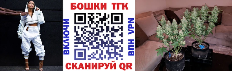 Купить  Свирск  Бошки Шишки гибрид 